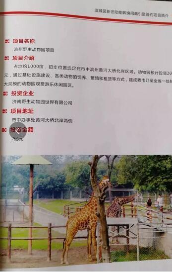 厲害了我的大濱州，15個招商引資項(xiàng)目集中簽約！